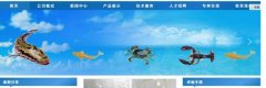 海南定安*美生物工程有限公司企业网站建设有创意的主题设计